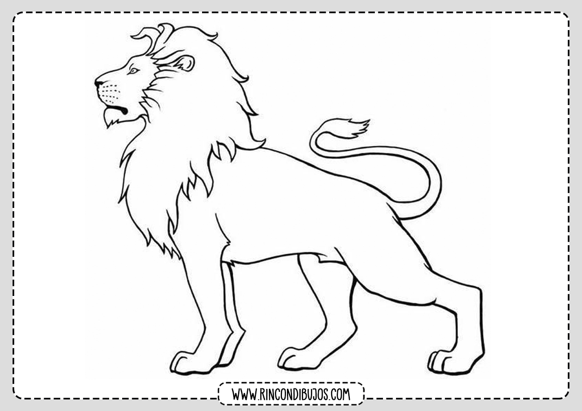 Dibujos de Leones para colorear | Leon y Leona de la sabana