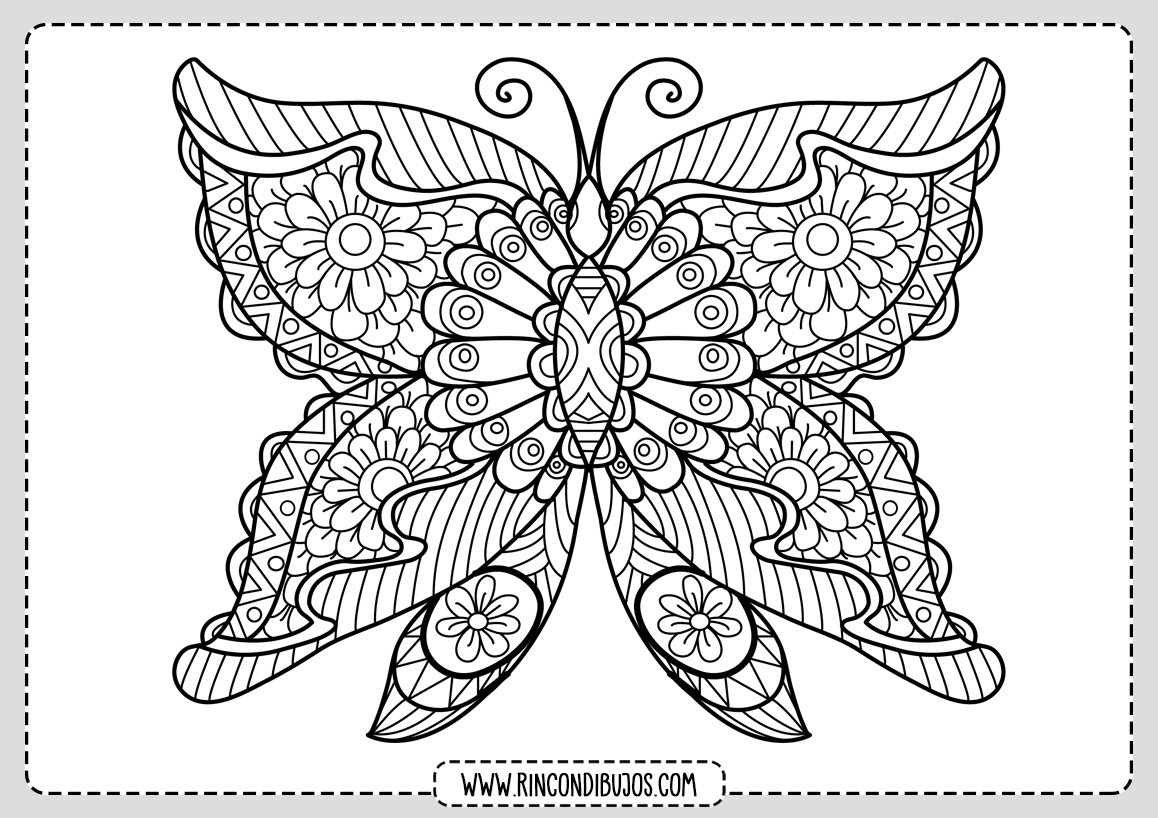 Dibujo Mariposa Bonita para Colorear