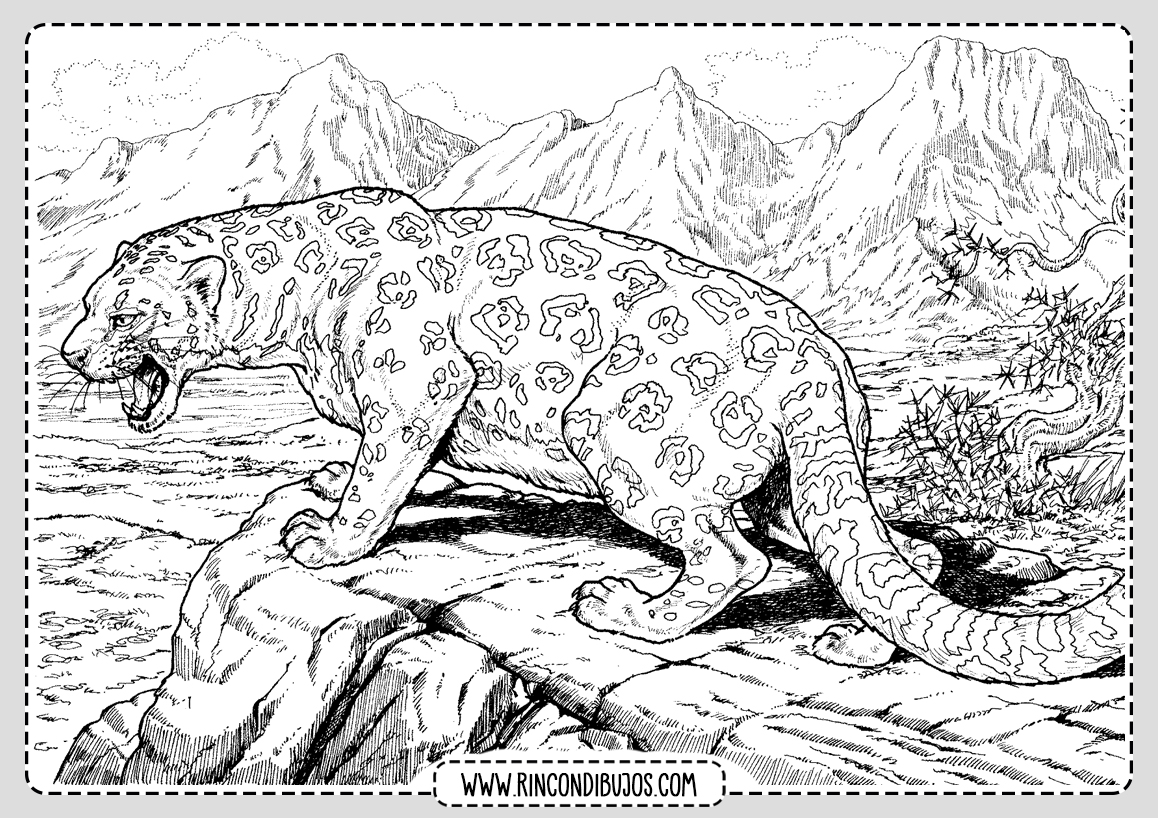 Dibujo de Leopardo