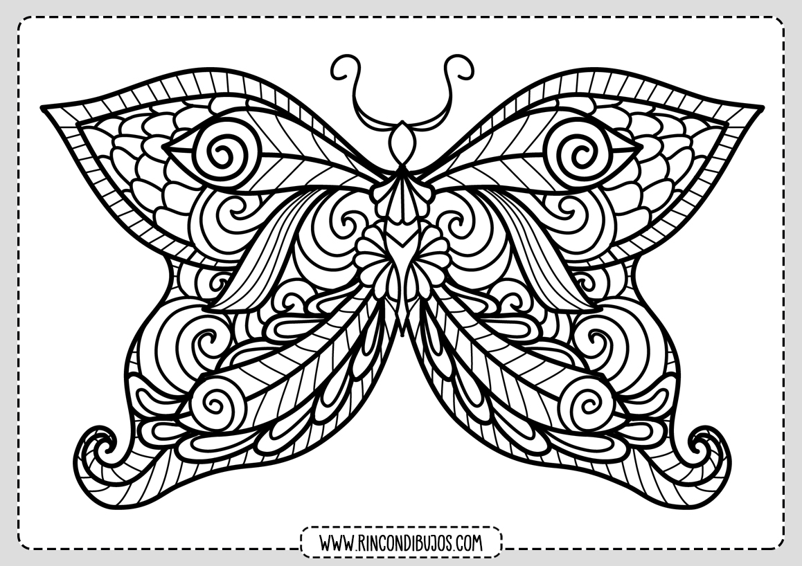 Dibujo de Mariposa para Pintar
