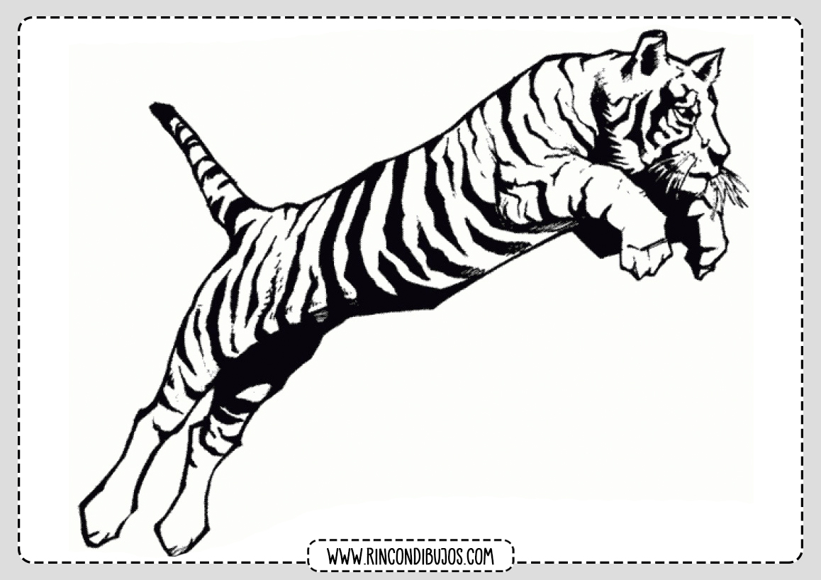 Dibujo de Tigre para pintar e imprimir