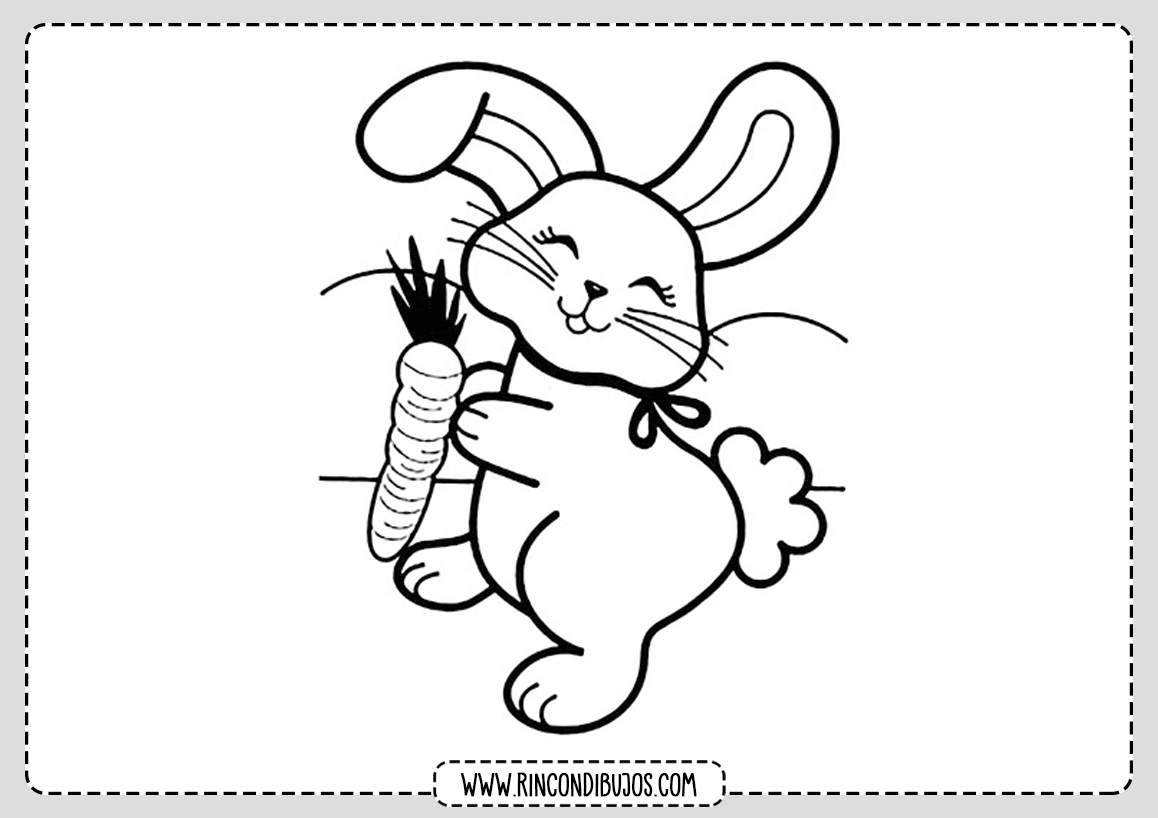 Dibujo de conejo Colorear