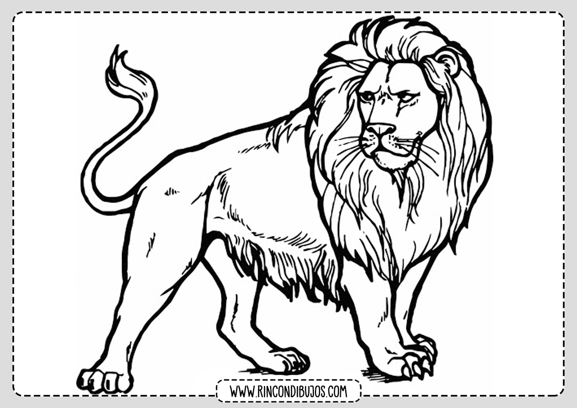 Dibujos Leones Colorear