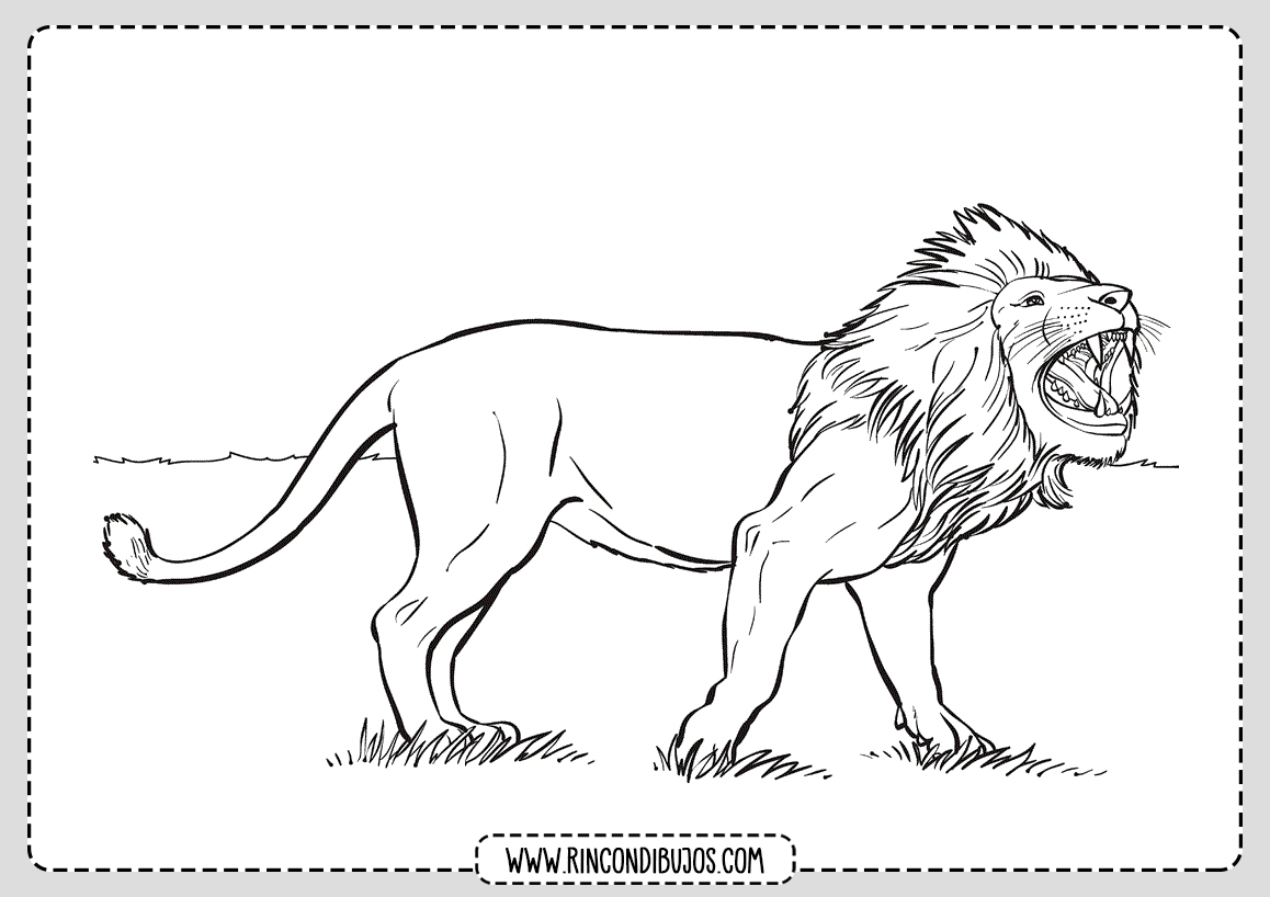 Dibujos de Leones para Colorear y Pintar