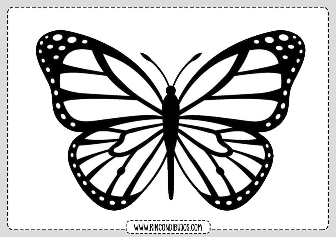 Dibujos de Mariposas para Colorear