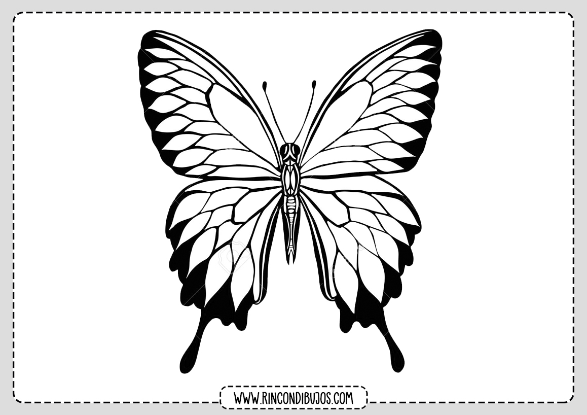 Dibujos de Mariposas