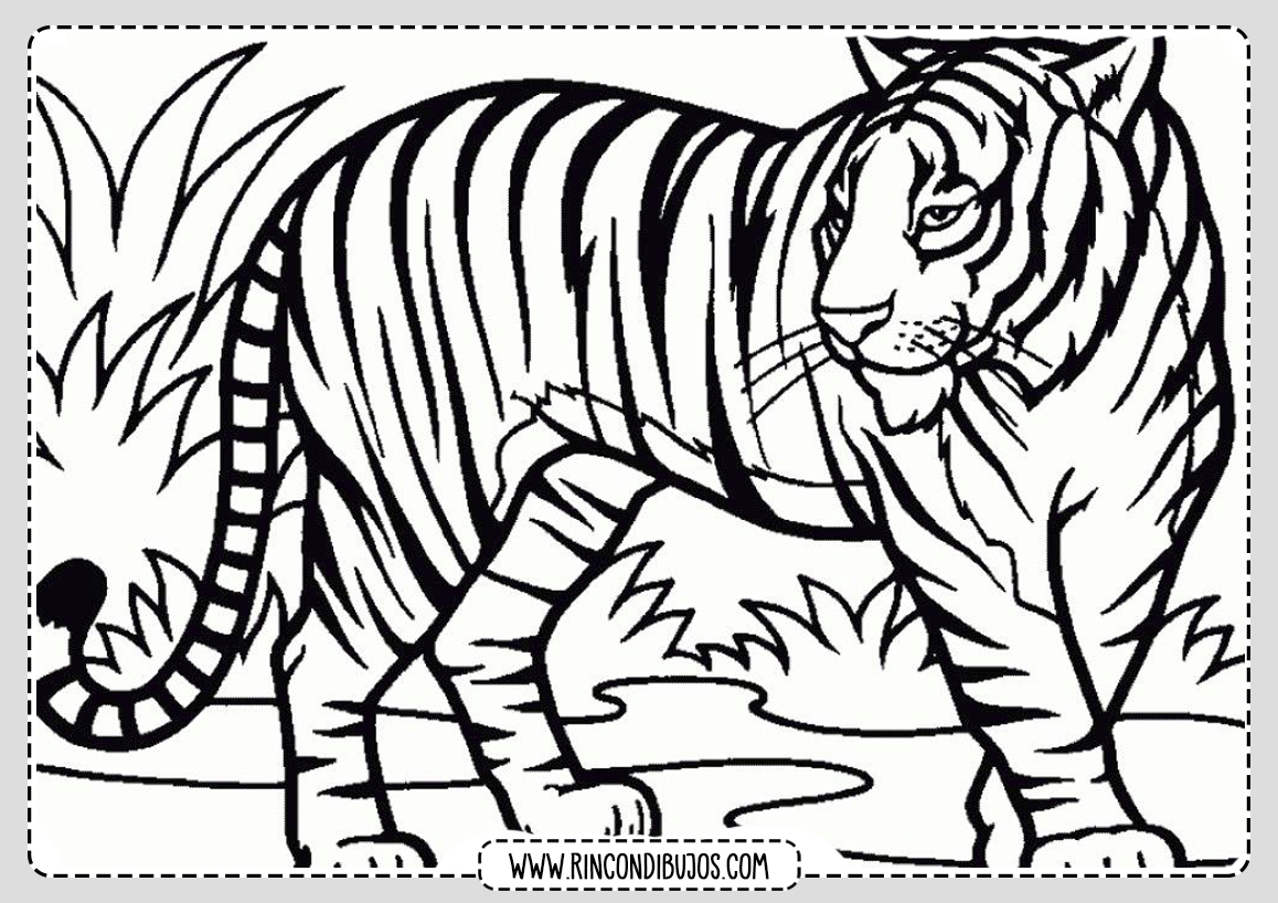 Dibujos de Tigres