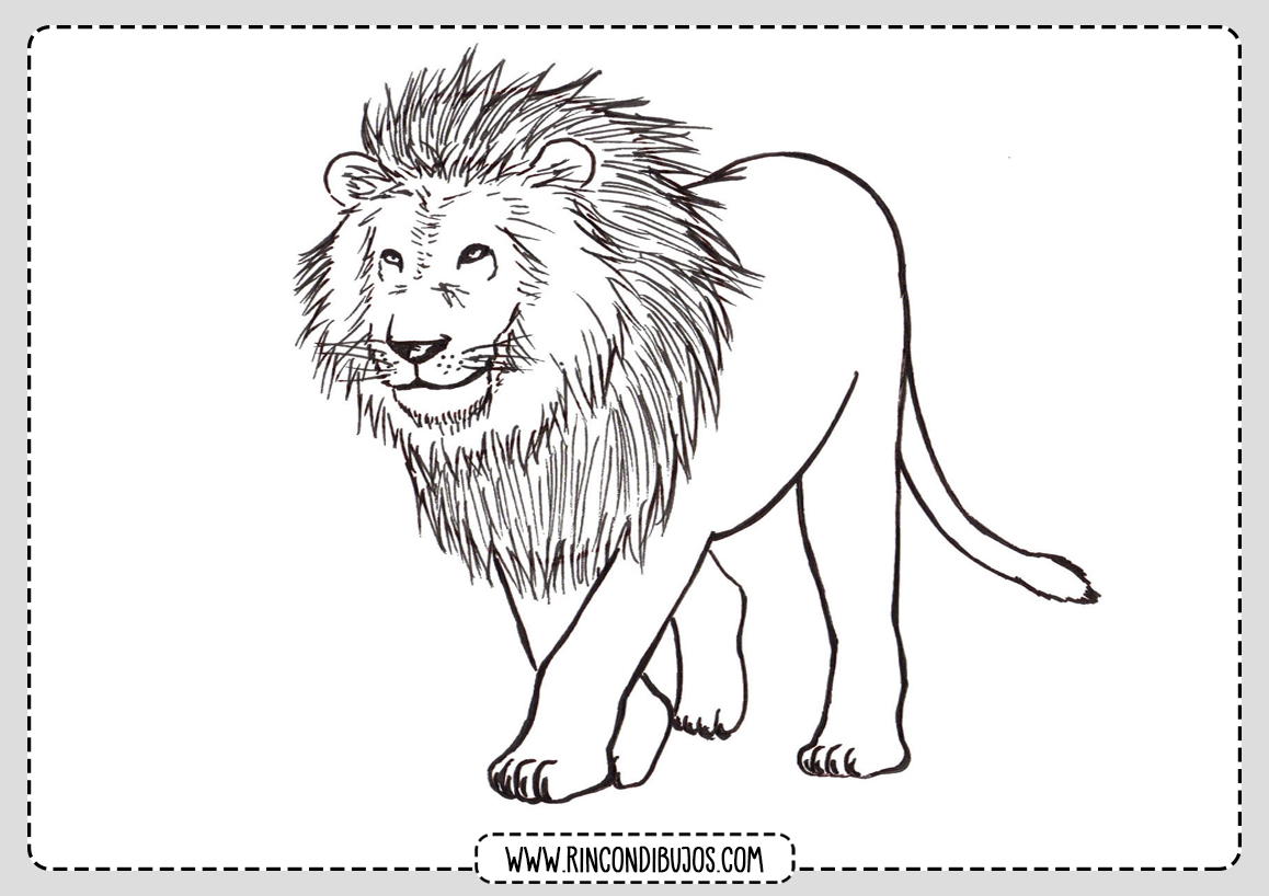 Dibujos para Colorear Leon Leones