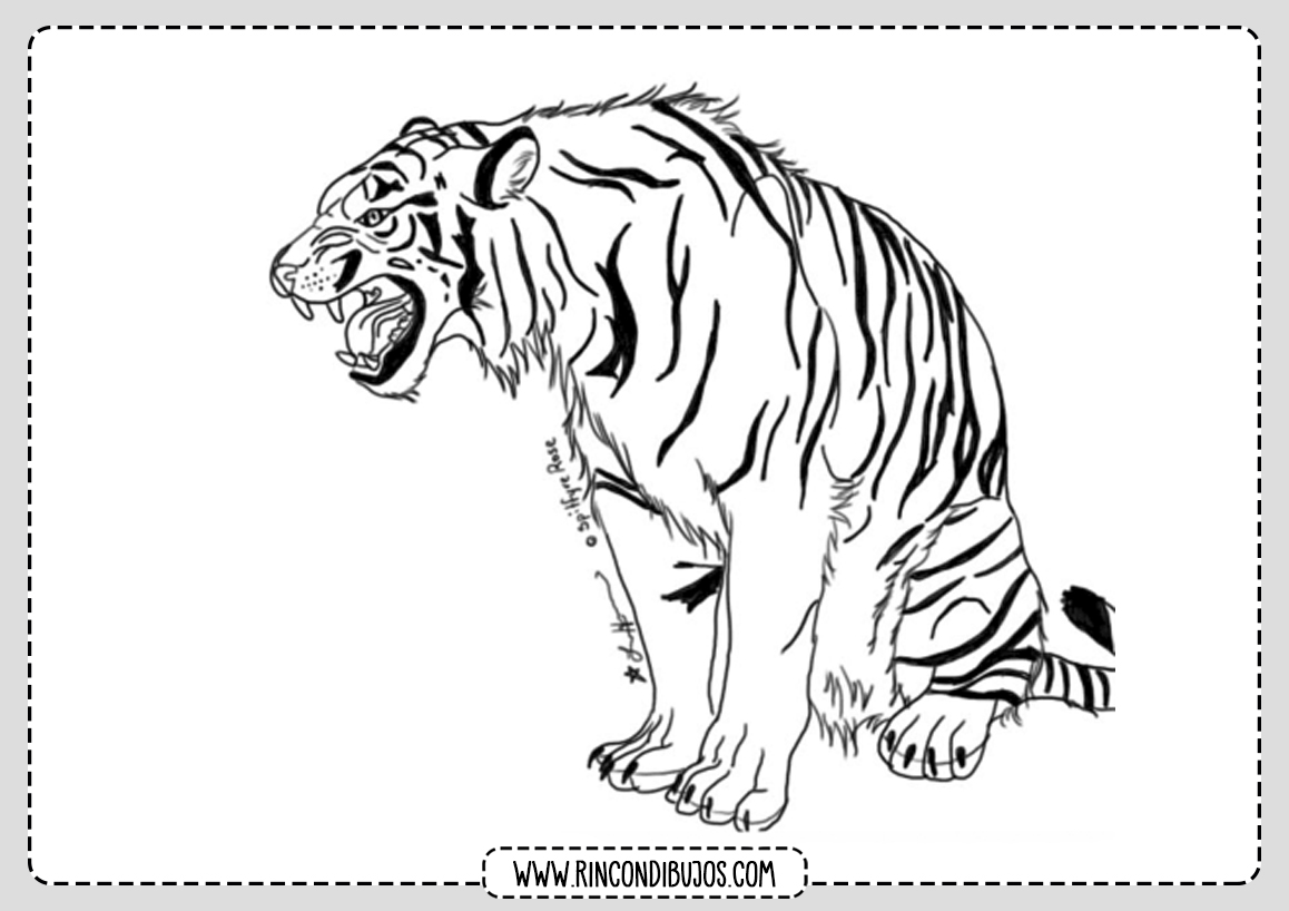 Imagenes Tigres para Colorear