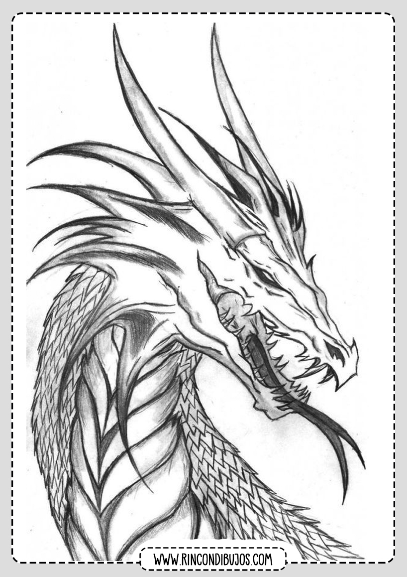 Impresionante Dibujo de Dragon