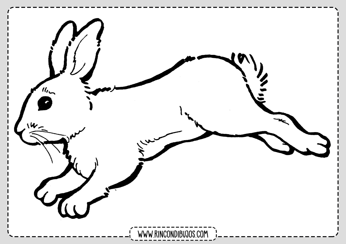 Imprimir y Colorear Dibujo de conejo