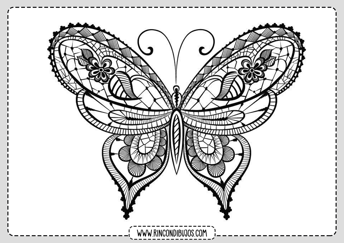 Mariposa Bonita Para Colorear