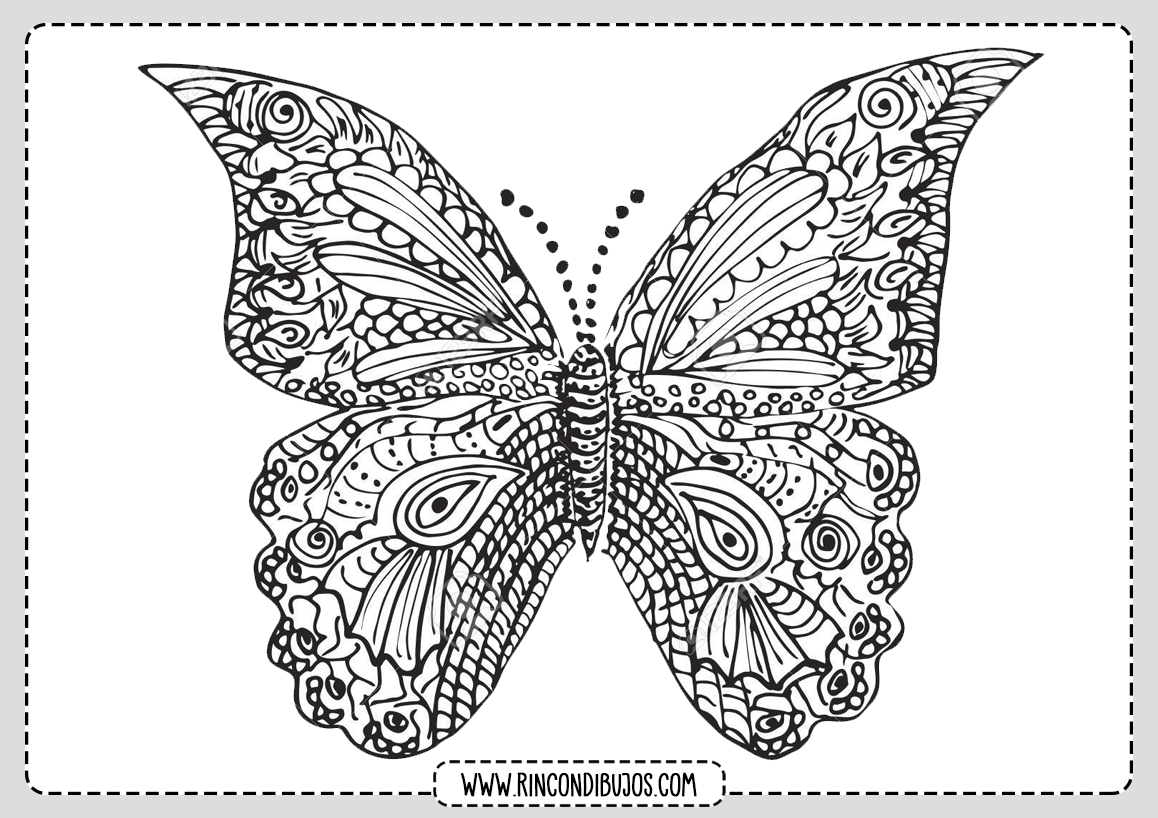 Mariposa para Pintar