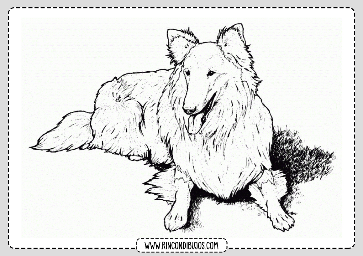 Perro para colorear dibujo imprimir