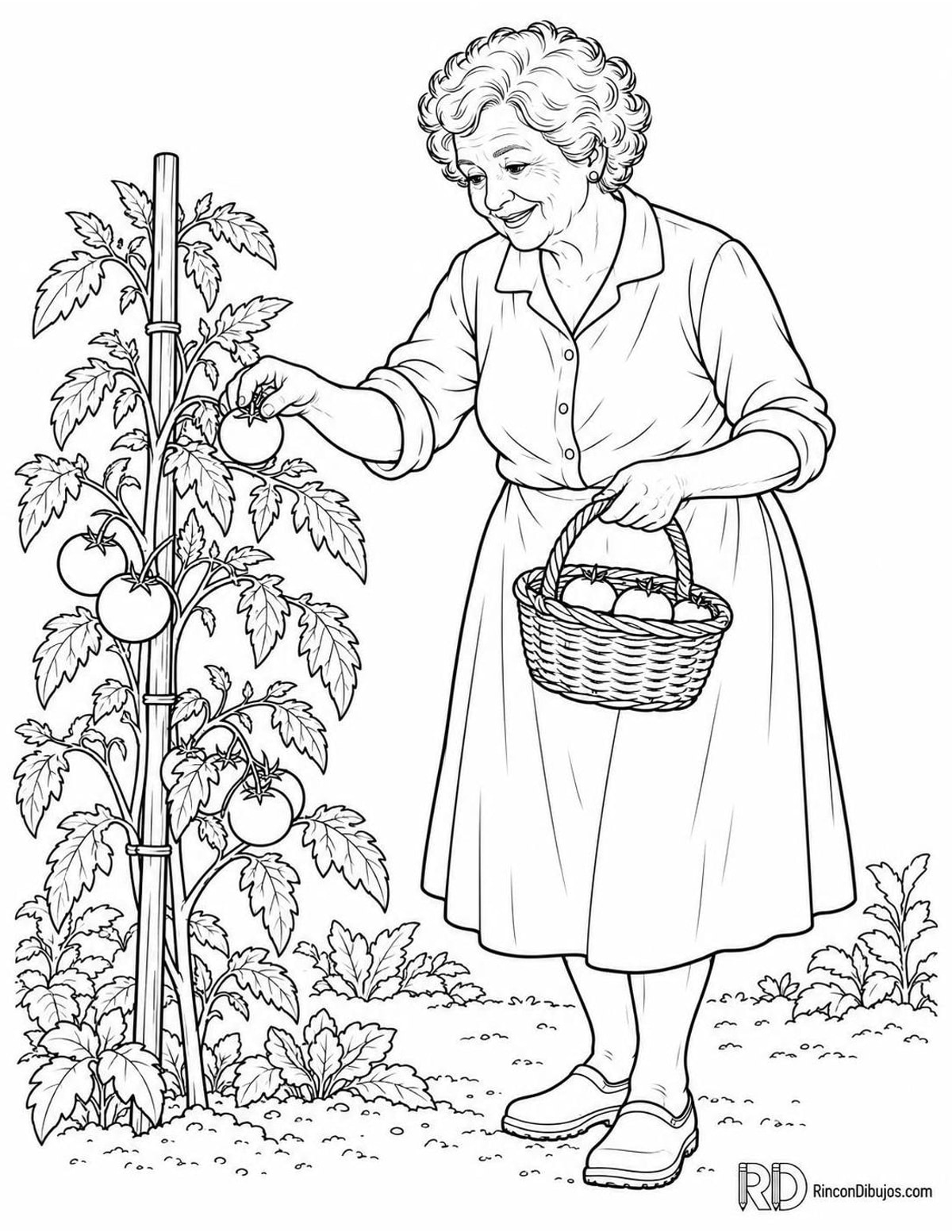 Dibujo de abuela recogiendo tomates para colorear