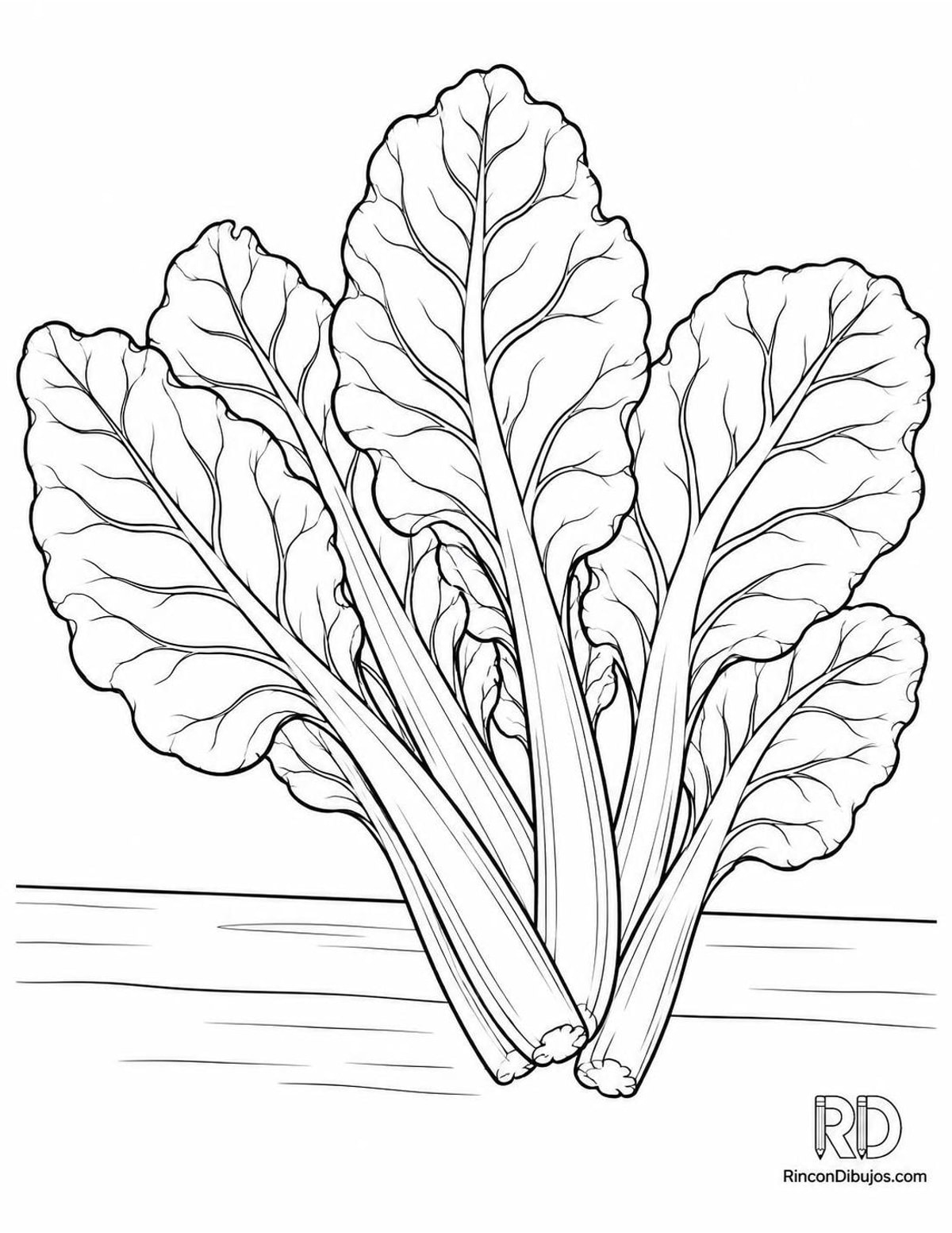 Dibujo de acelga para colorear