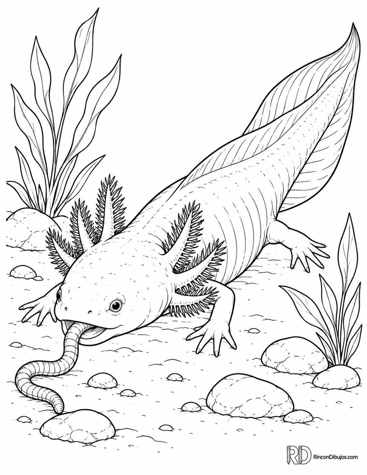 Dibujo de ajolote comiendo para colorear Dibujo de ajolote comiendo para colorear