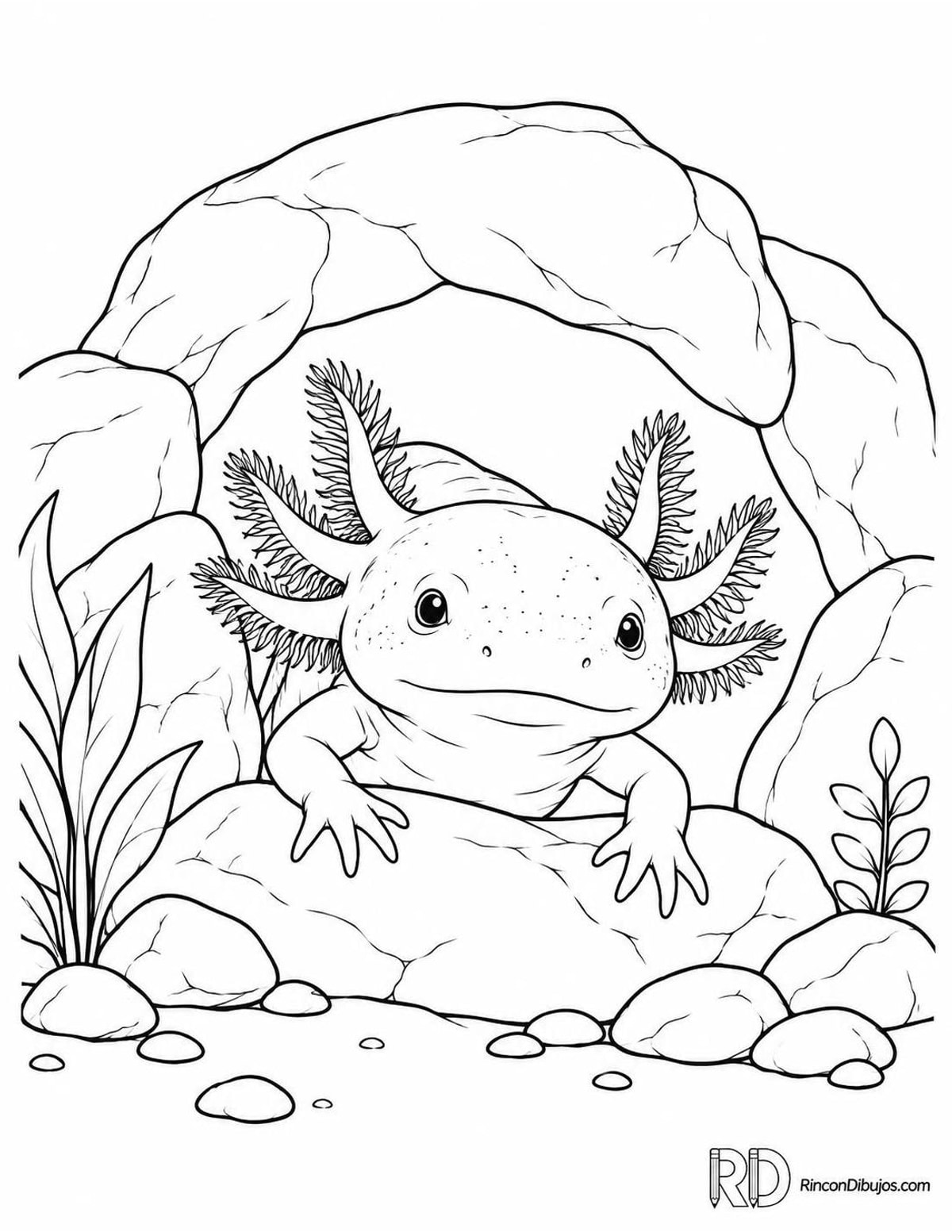 Dibujo de ajolote en cueva para colorear Dibujo de ajolote en cueva para colorear