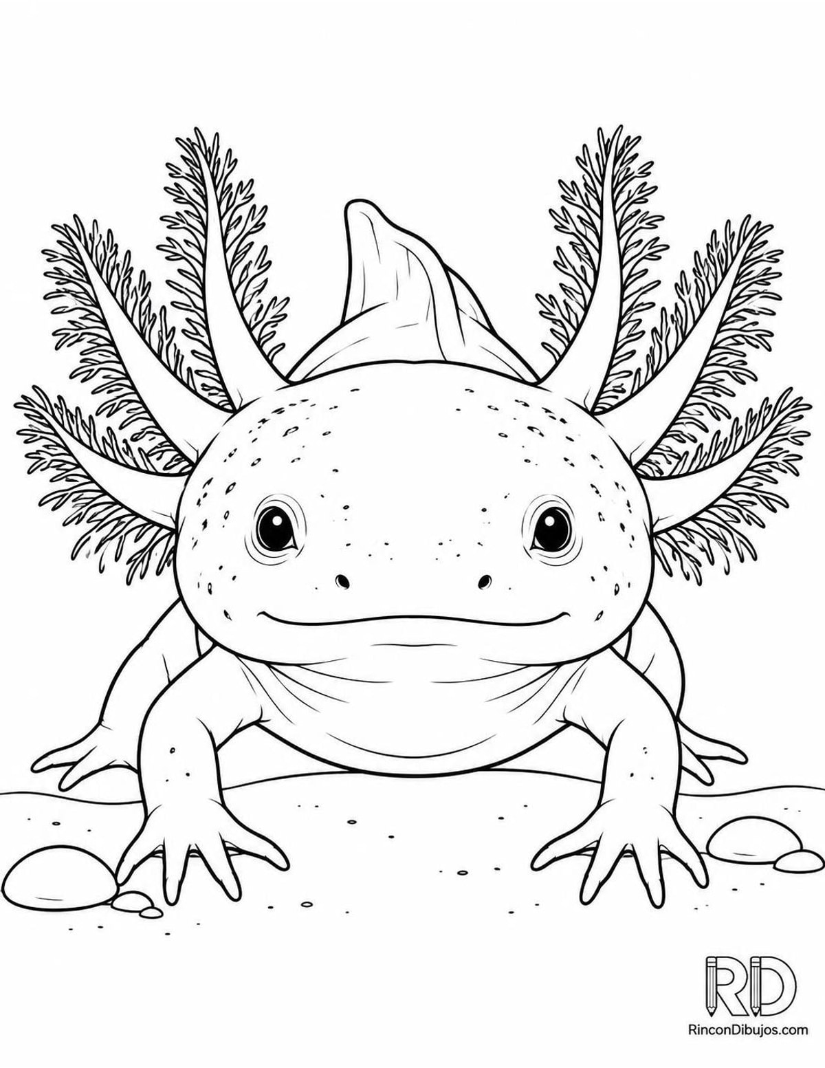 Dibujo de ajolote para colorear Dibujo de ajolote para colorear