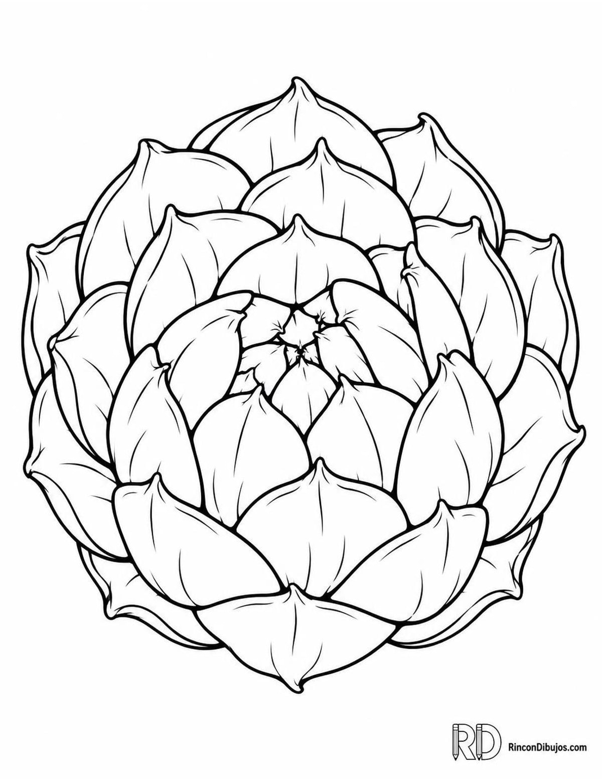 Dibujo de alcachofa para colorear
