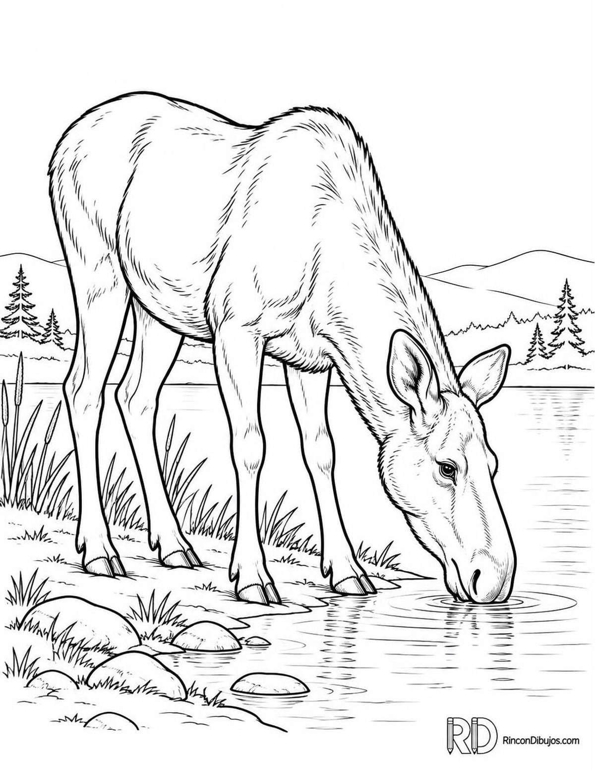 Dibujo de alce bebiendo para colorear Dibujo de alce bebiendo para colorear