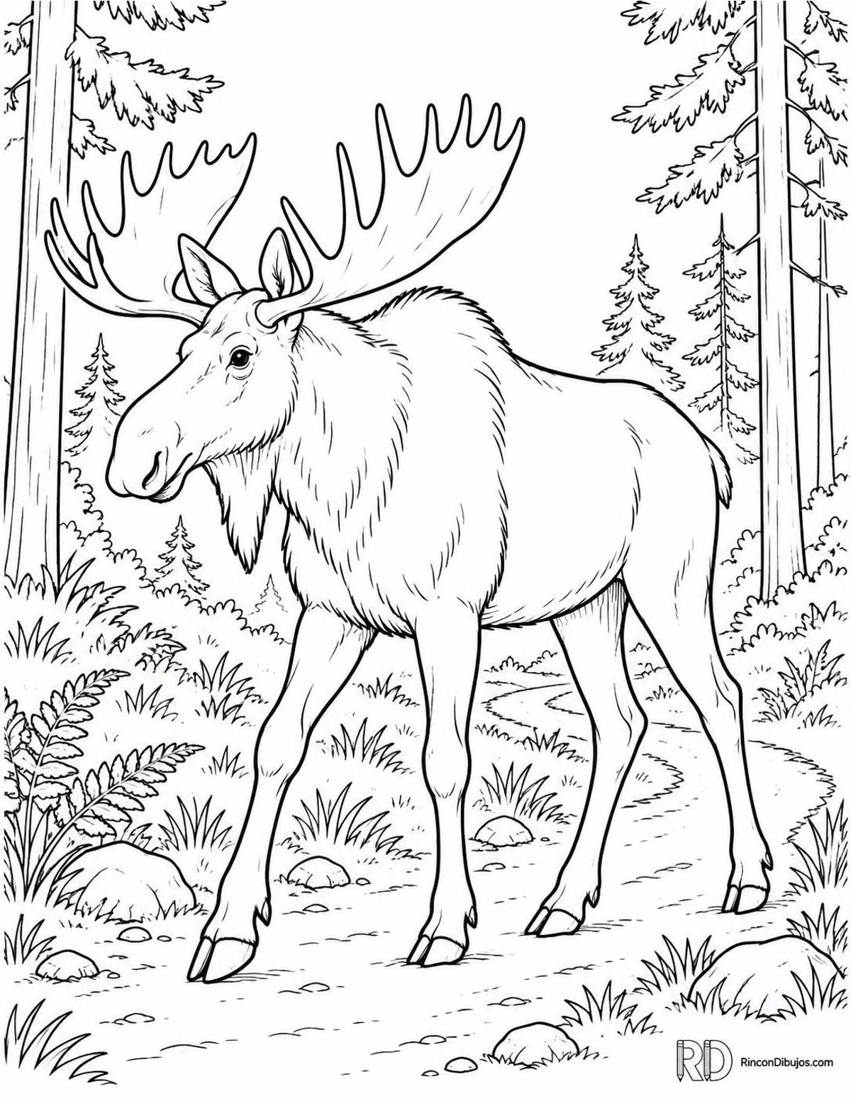 Dibujo de alce caminando para colorear Dibujo de alce caminando para colorear