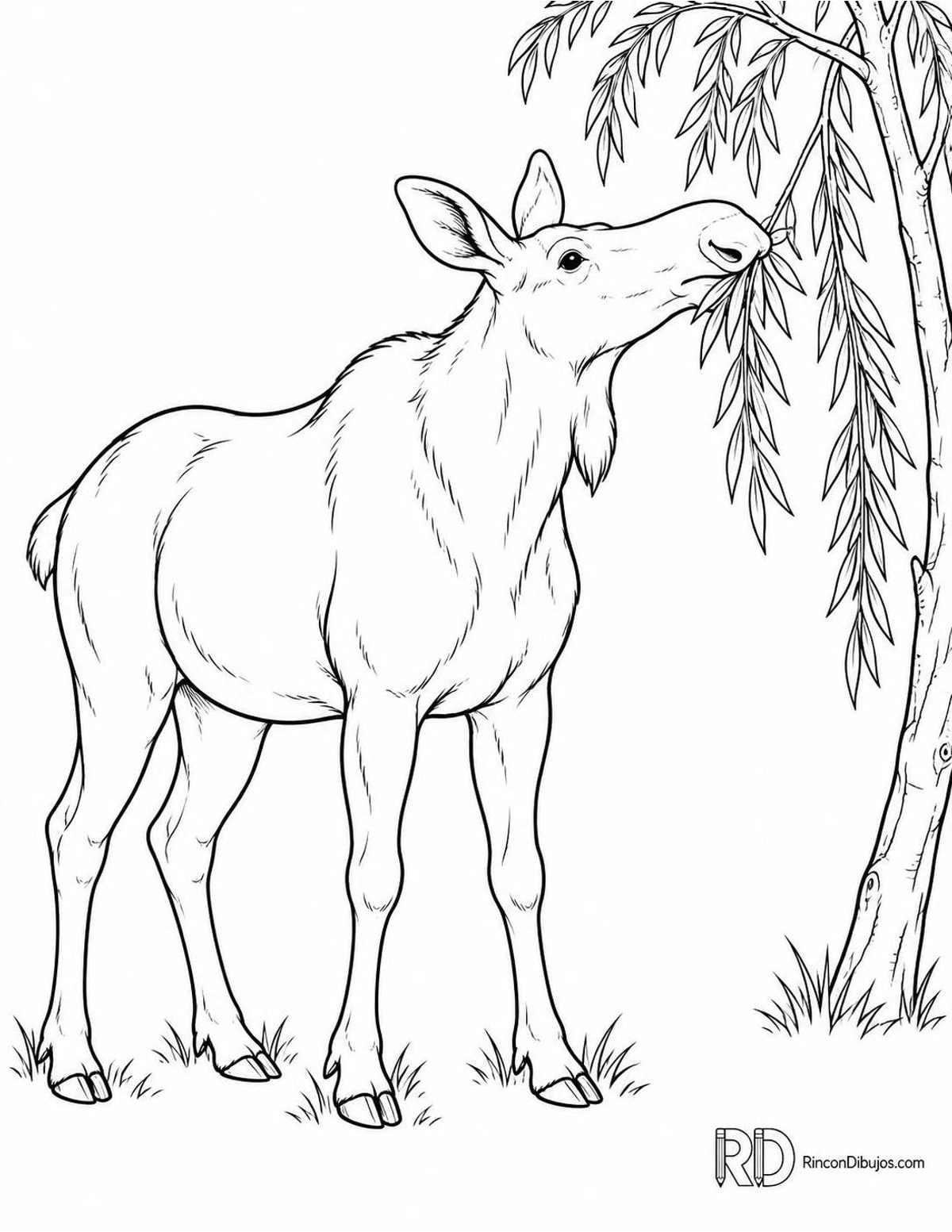 Dibujo de alce comiendo para colorear Dibujo de alce comiendo para colorear