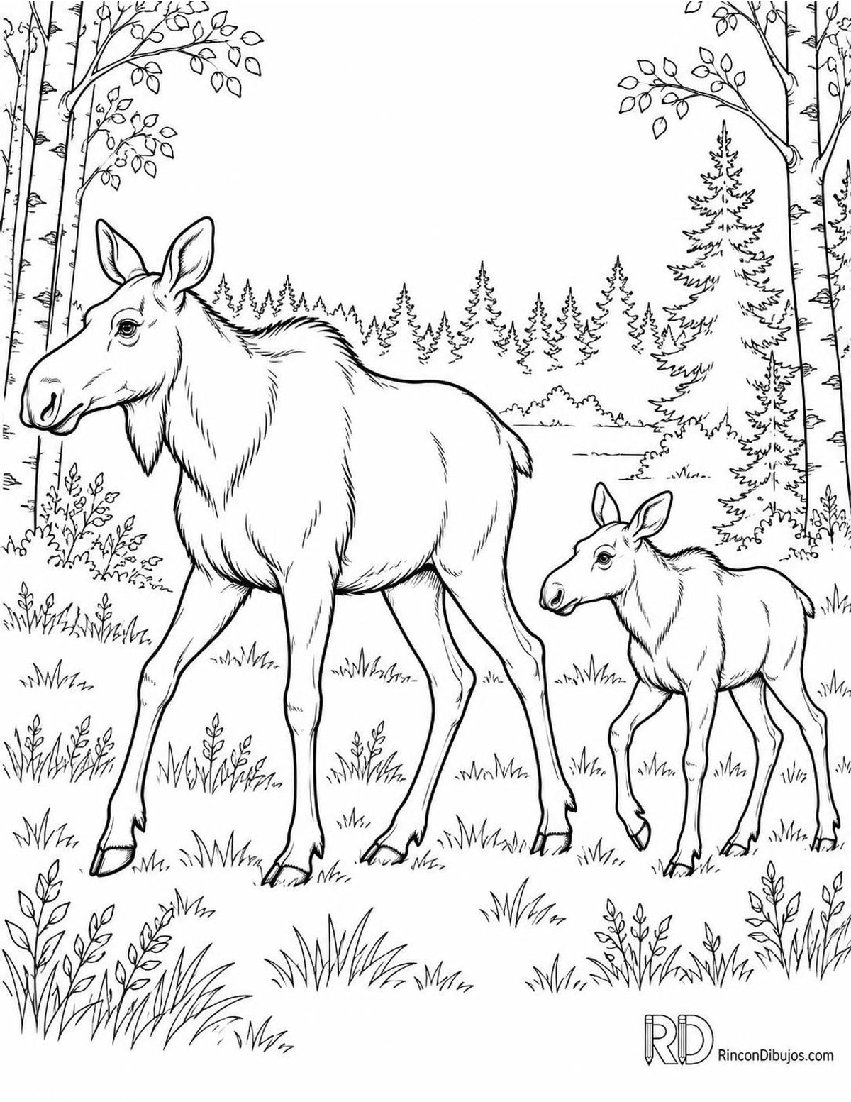 Dibujo de alce con cría para colorear Dibujo de alce con cría para colorear