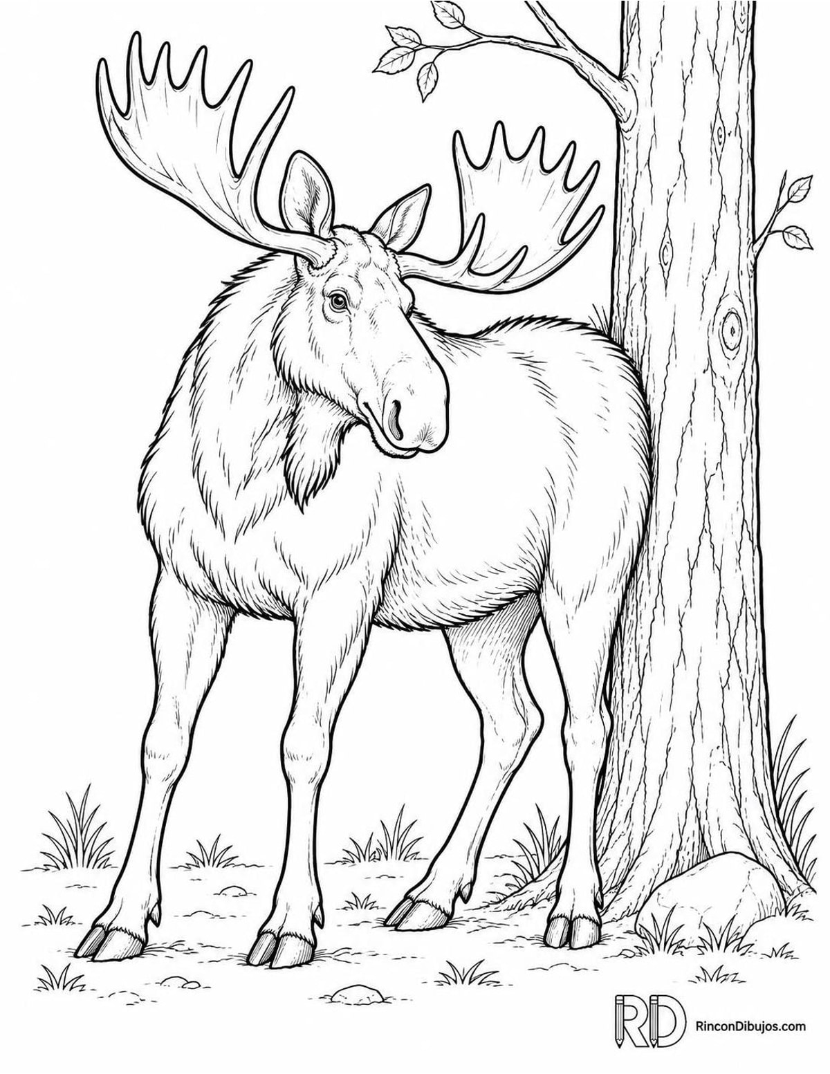 Dibujo de alce rascándose para colorear Dibujo de alce rascándose para colorear