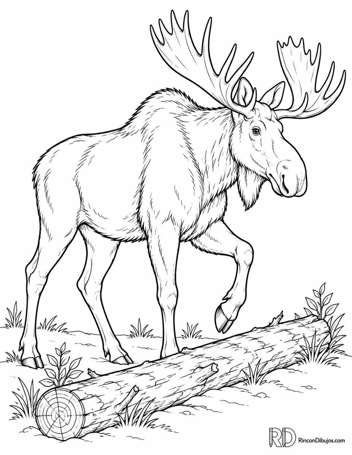 Dibujo de alce sorteando tronco para colorear Dibujo de alce sorteando tronco para colorear