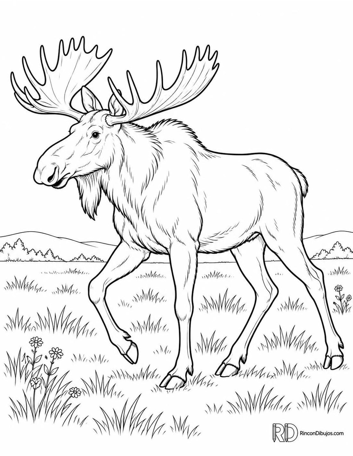 Dibujo de alce trotando para colorear Dibujo de alce trotando para colorear