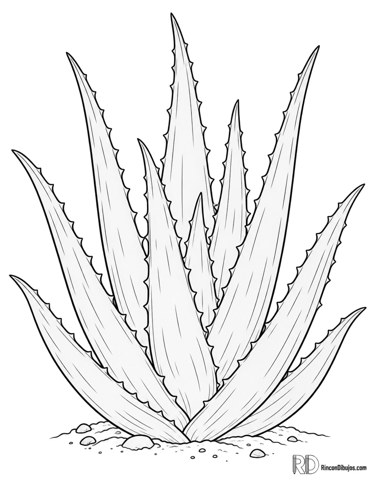 Dibujo de aloe vera para colorear Dibujo de aloe vera para colorear