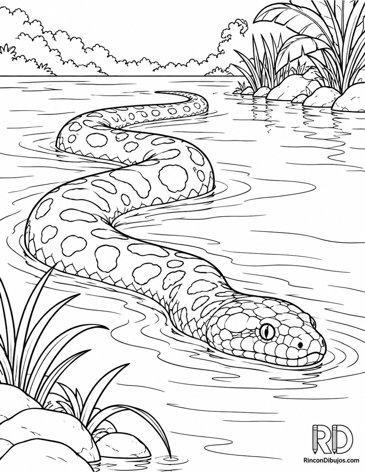 Dibujo de anaconda verde para colorear Dibujo de anaconda verde para colorear