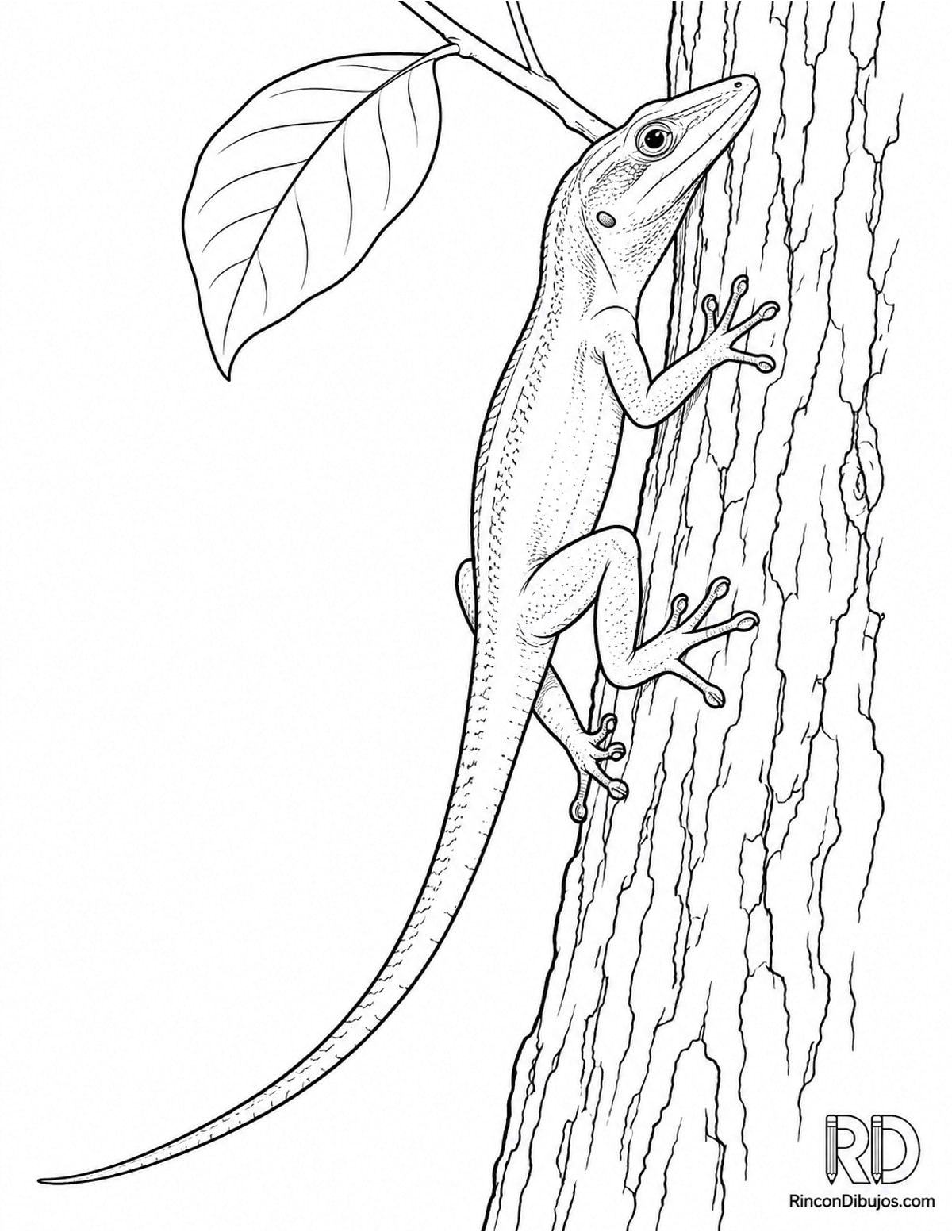 Dibujo de anolis verde trepando para colorear