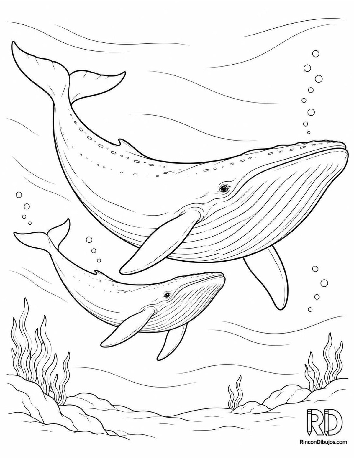 Dibujo de ballena azul cría para colorear Dibujo de ballena azul cría para colorear