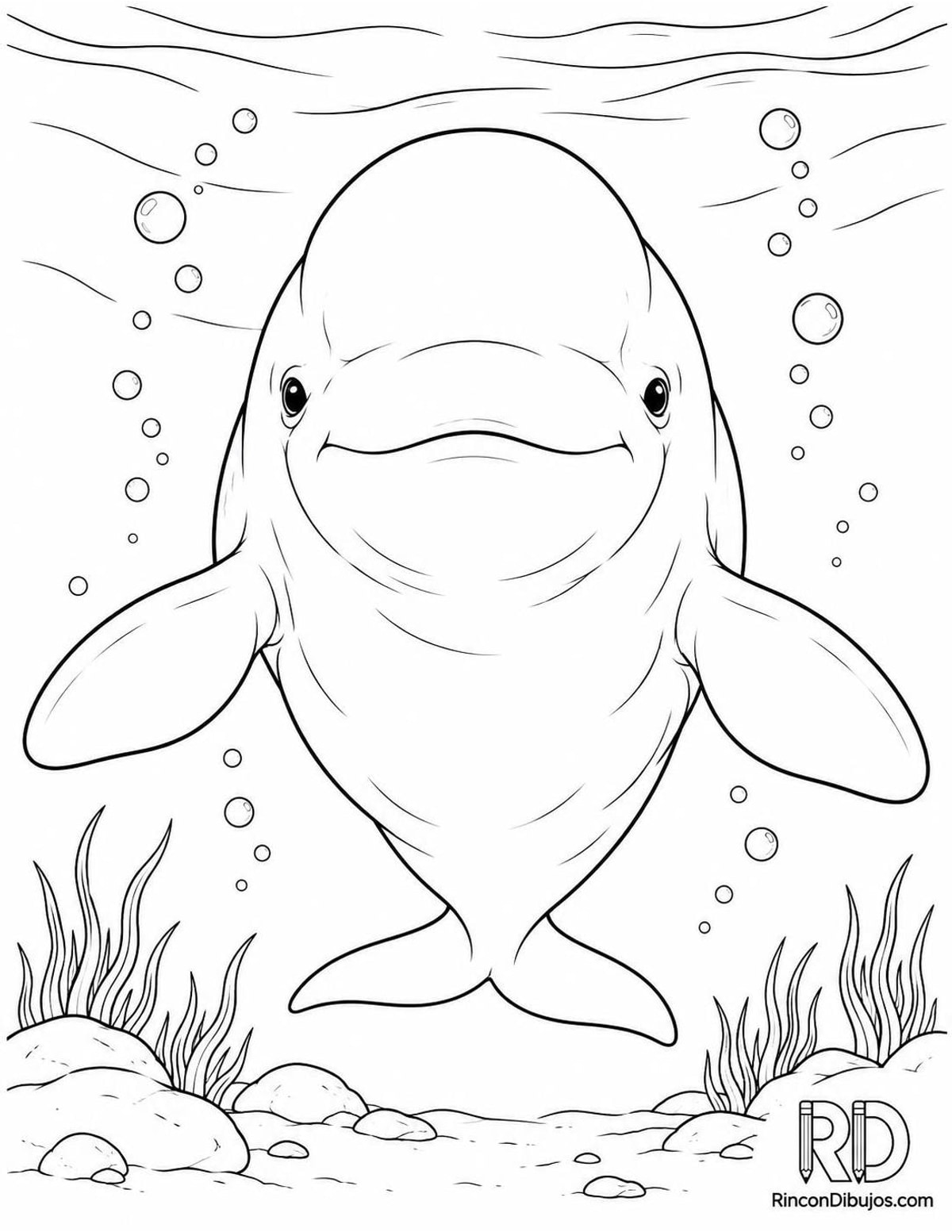 Dibujo de ballena beluga para colorear Dibujo de ballena beluga para colorear