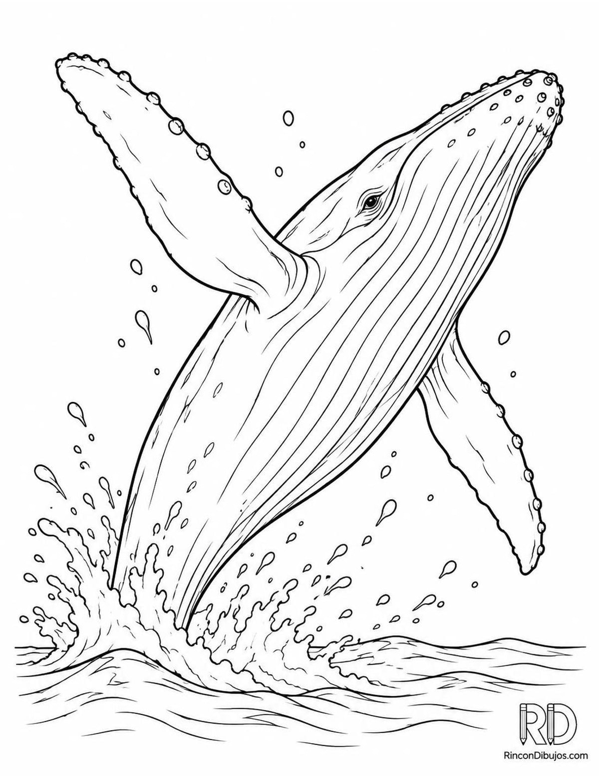 Dibujo de ballena jorobada saltando para colorear Dibujo de ballena jorobada saltando para colorear