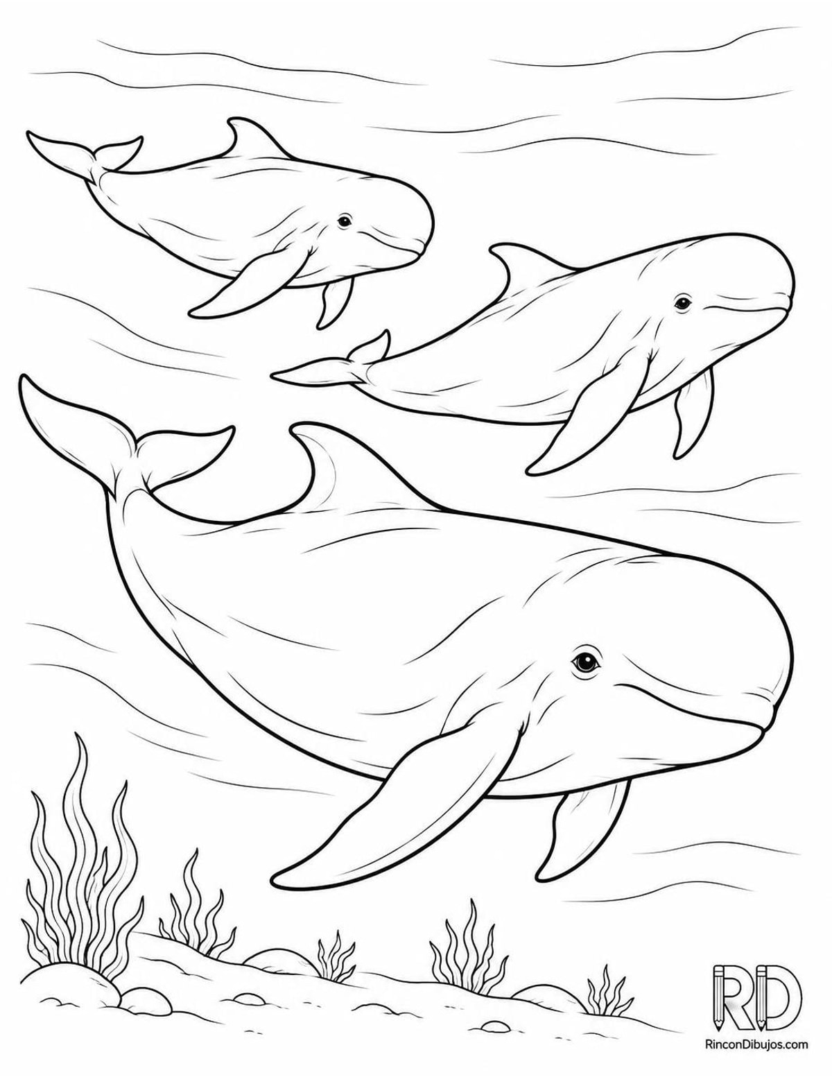 Dibujo de ballena piloto grupo para colorear Dibujo de ballena piloto grupo para colorear