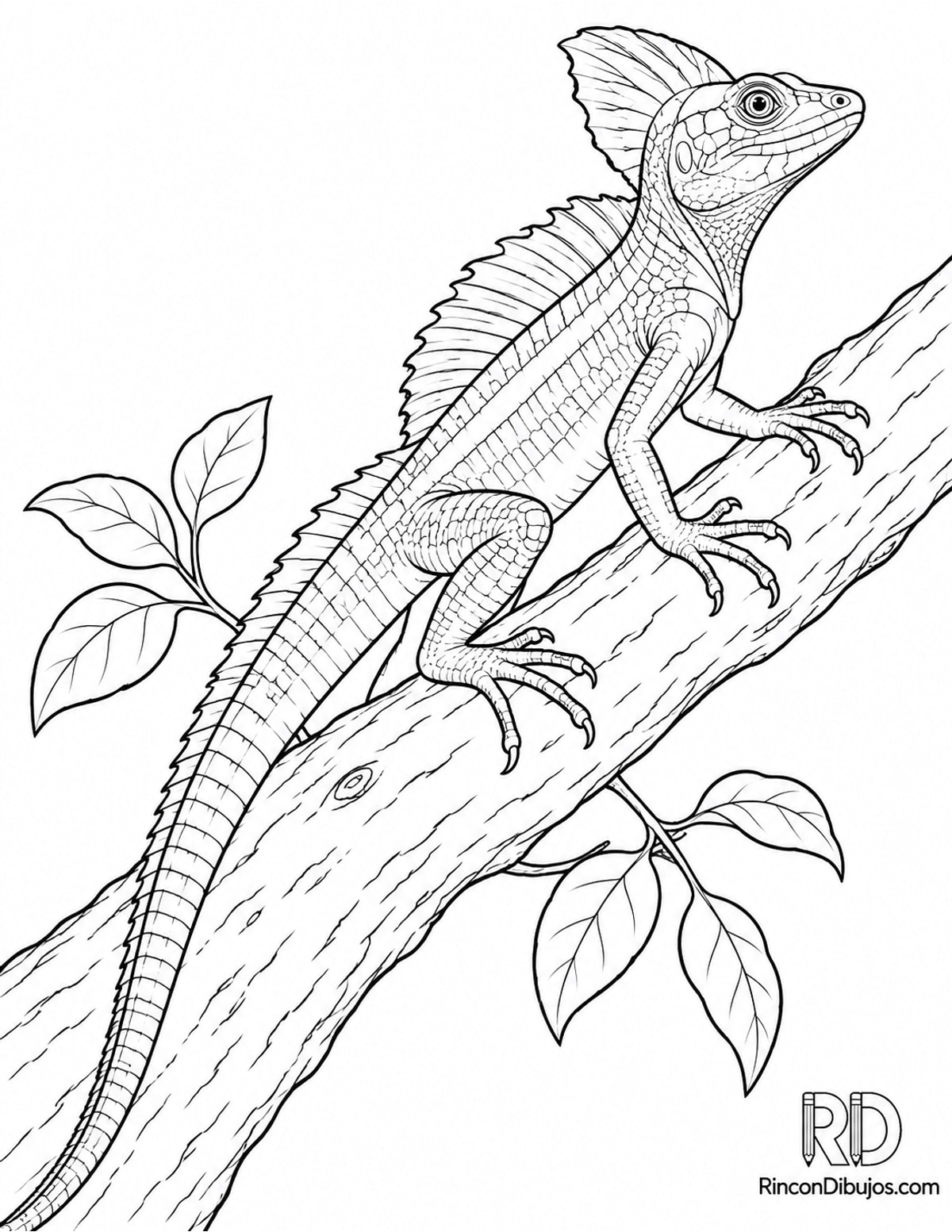 Dibujo de basilisco verde apoyado para colorear