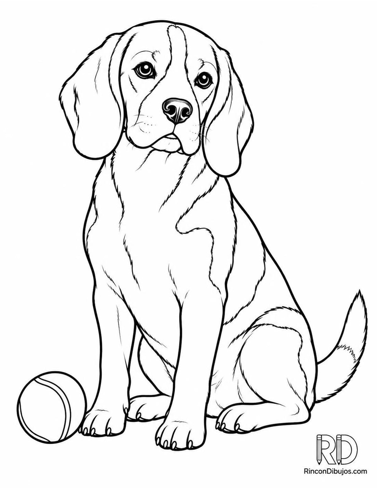 Dibujo de beagle con pelota para colorear Dibujo de beagle con pelota para colorear