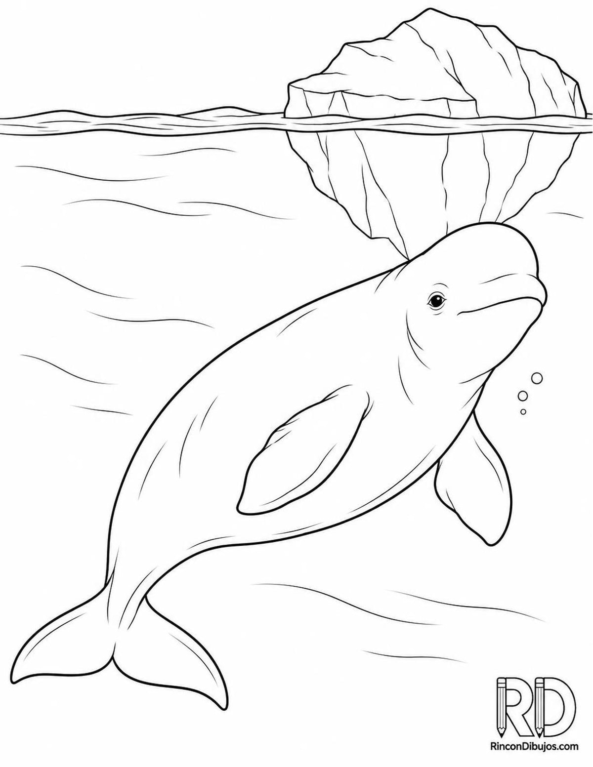 Dibujo de beluga ártica para colorear Dibujo de beluga ártica para colorear