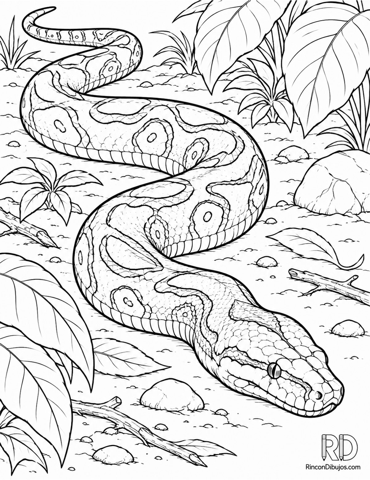 Dibujo de boa constrictora moviéndose para colorear