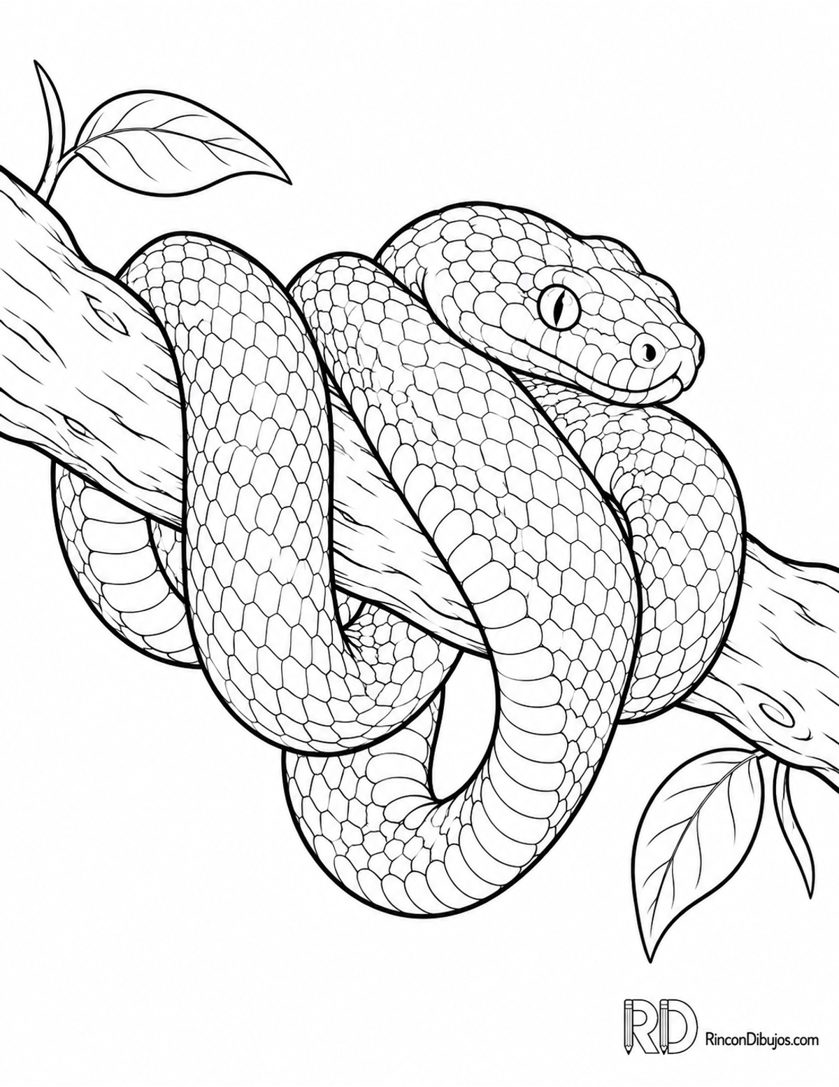 Dibujo de boa esmeralda para colorear Dibujo de boa esmeralda para colorear