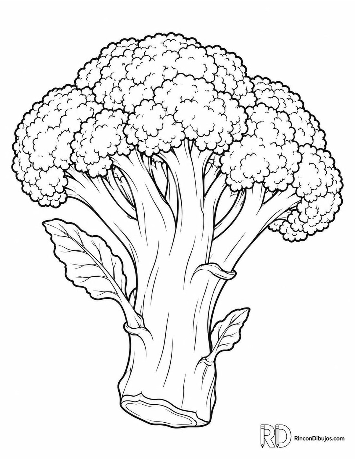 Dibujo de brócoli para colorear