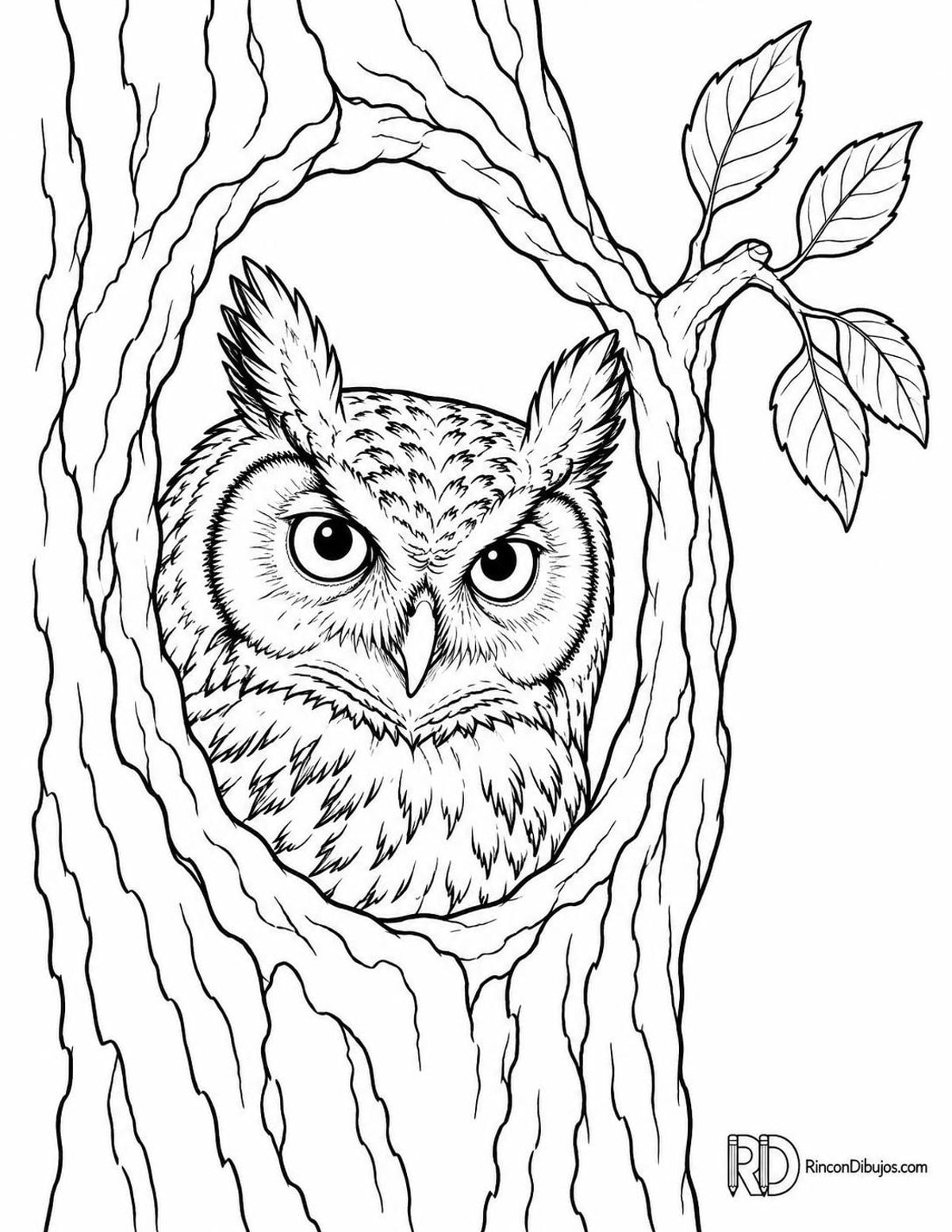 Dibujo de búho cornudo para colorear Dibujo de búho cornudo para colorear