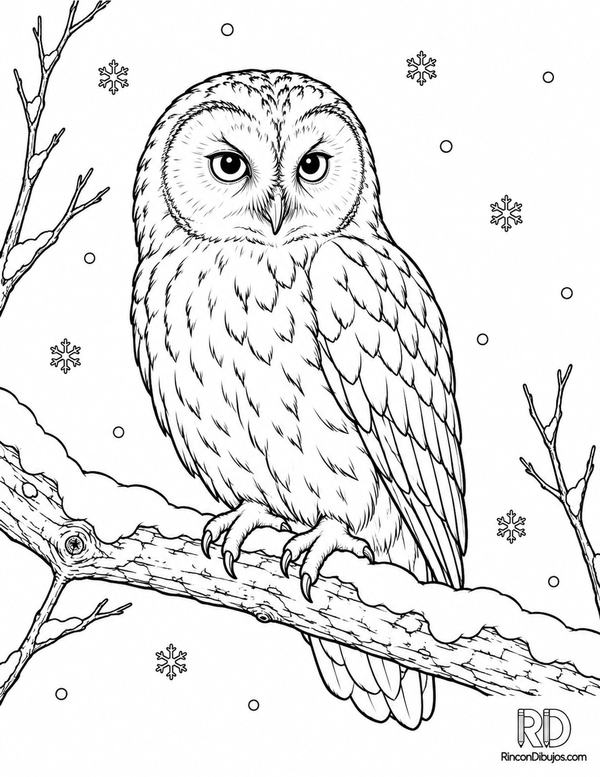 Dibujo de búho para colorear Dibujo de búho para colorear