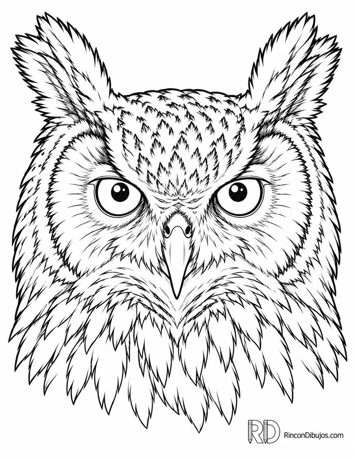 Dibujo de búho real realista para colorear Dibujo de búho real realista para colorear