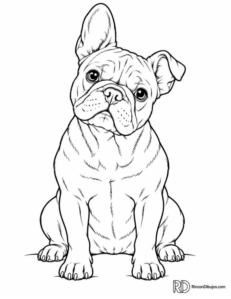 Dibujos Graciosos para Colorear