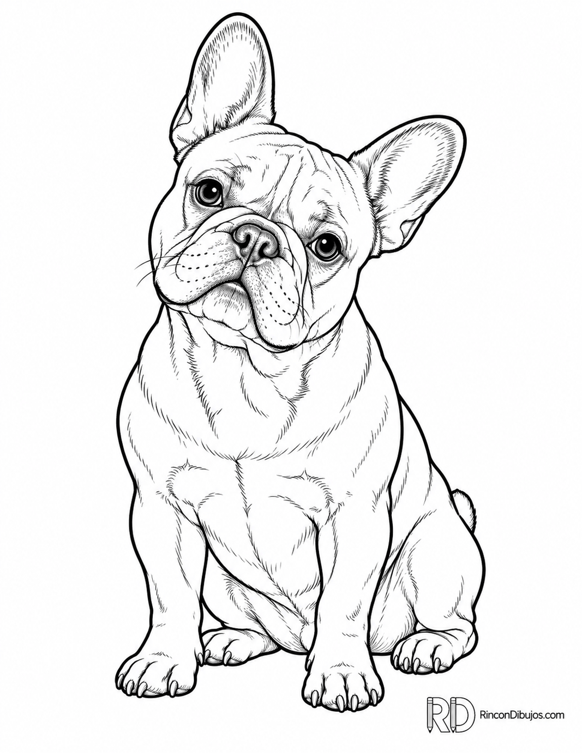 Dibujo de bulldog francés para colorear Dibujo de bulldog francés para colorear