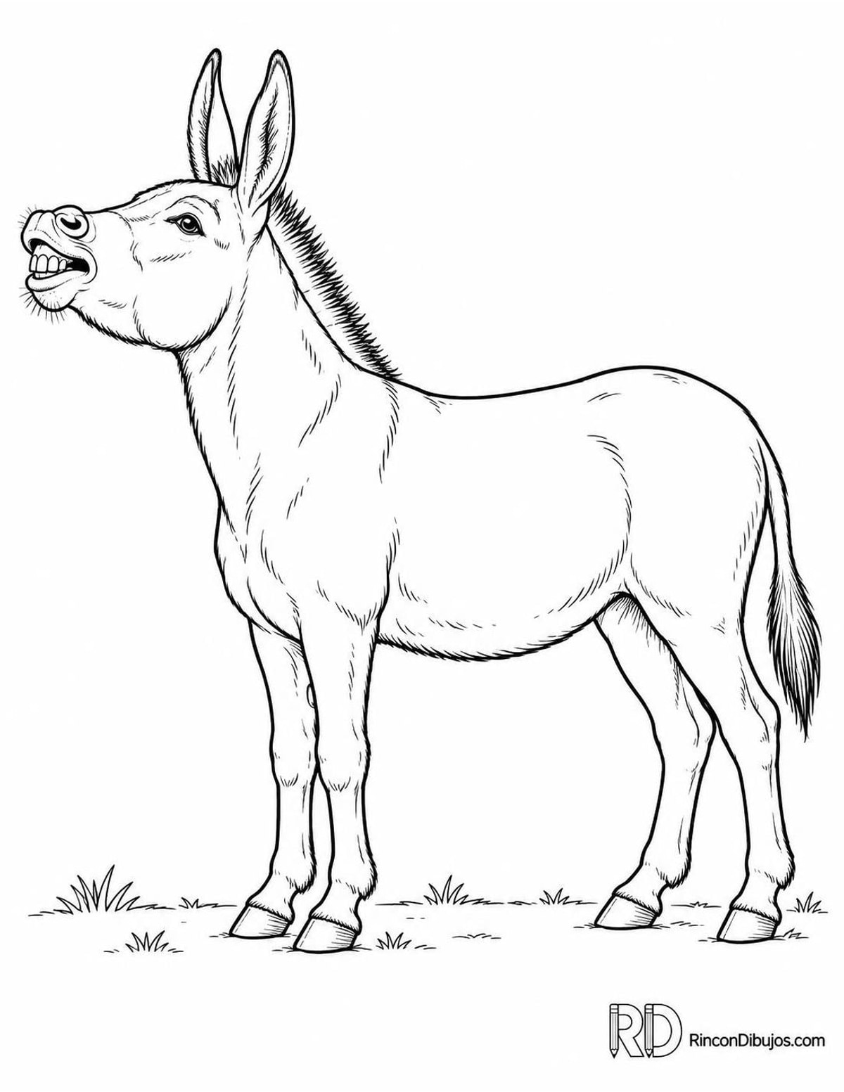 Dibujo de burro gracioso para colorear